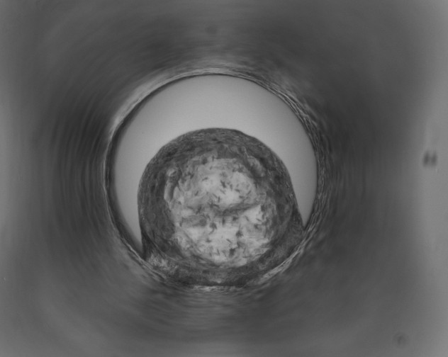 X0000090440244200708031200