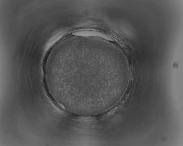 X0000090440245200708031200