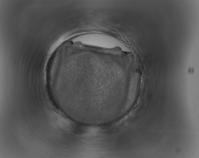 X0000090440246200708031200