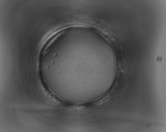 X0000090440247200708031200