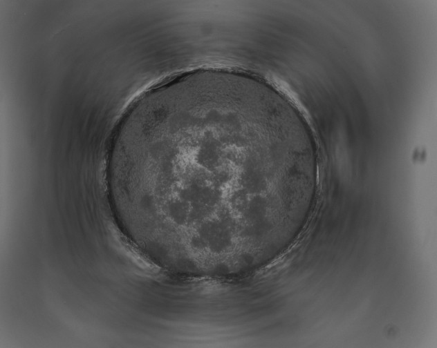 X0000090440249200708031200