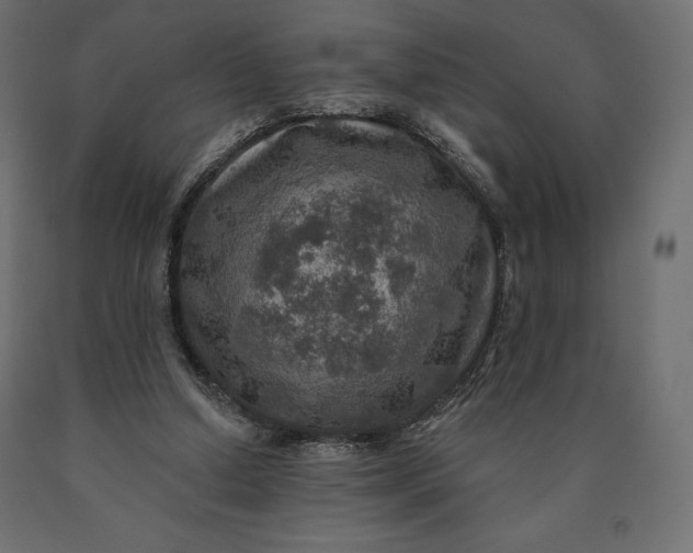 X0000090440250200708031200