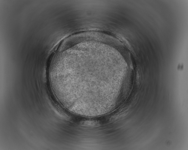 X0000090440251200708031200