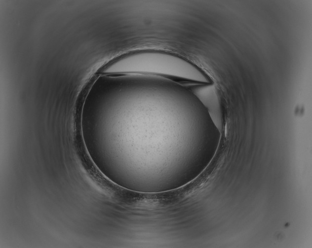 X0000090440252200708031200