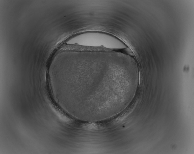 X0000090440253200708031200