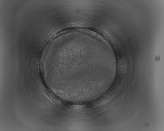 X0000090440255200708031200