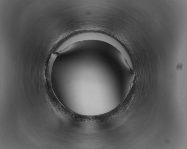 X0000090440256200708031200