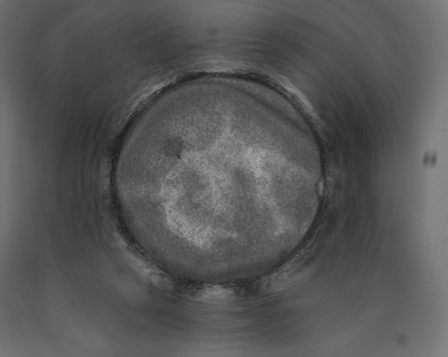 X0000090440257200708031200