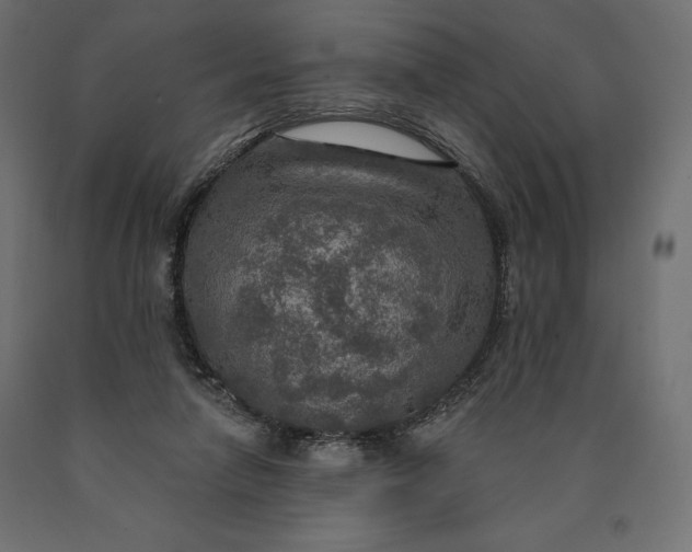 X0000090440258200708031200