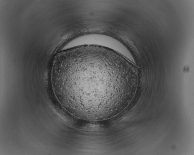 X0000090440260200708031200