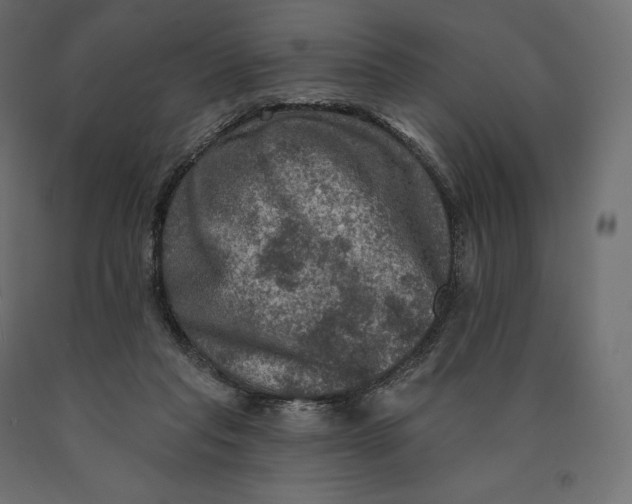 X0000090440261200708031200