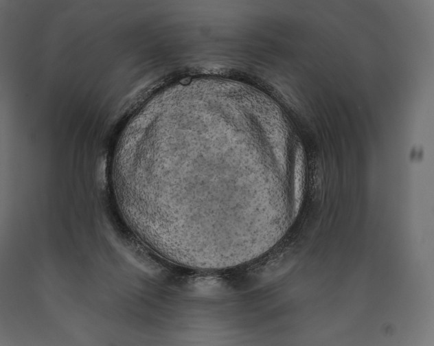 X0000090440262200708031200