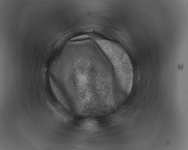 X0000090440263200708031200