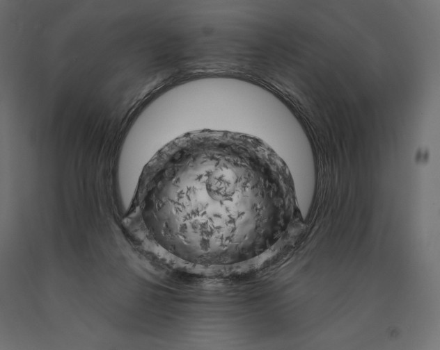 X0000090440264200708031200