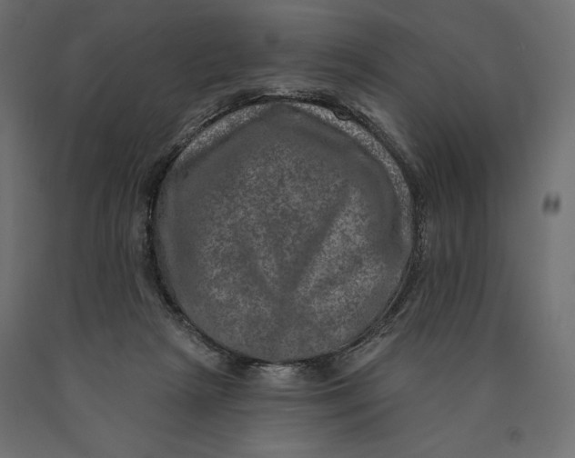 X0000090440265200708031200