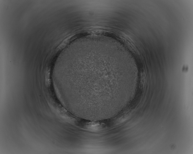 X0000090440267200708031200