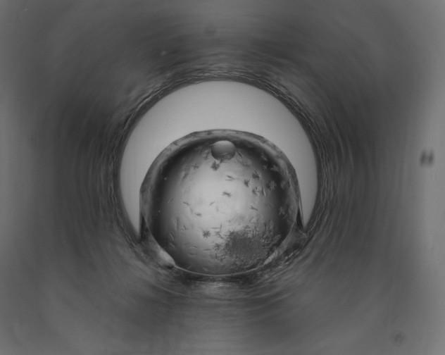 X0000090440268200708031200