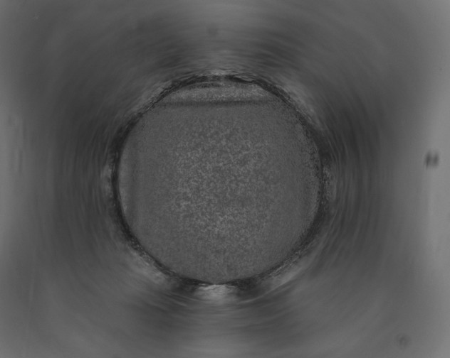 X0000090440269200708031200