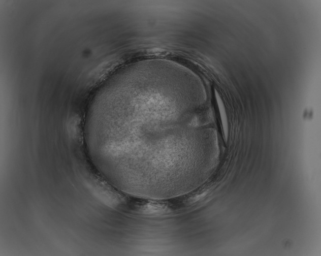 X0000090440270200708031200