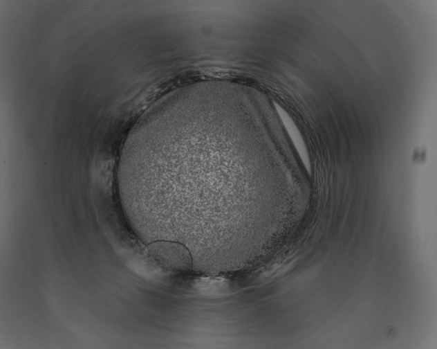 X0000090440271200708031200