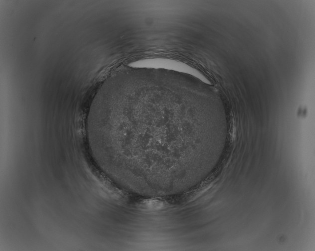 X0000090440272200708031201