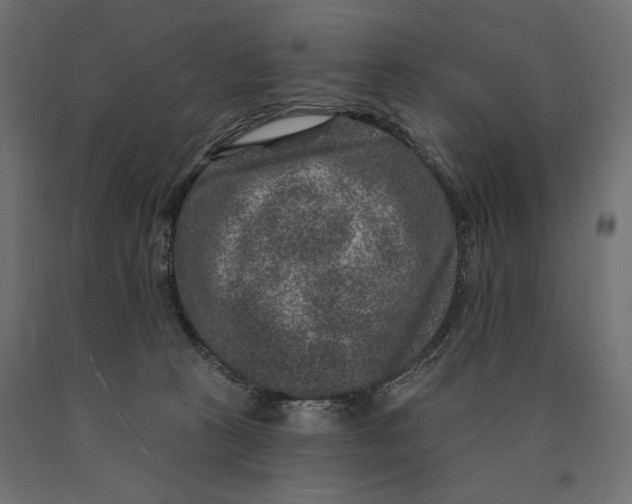 X0000090440273200708031201