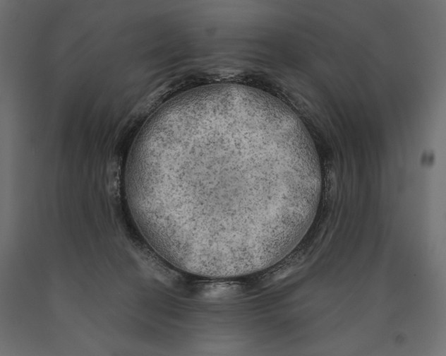 X0000090440274200708031201