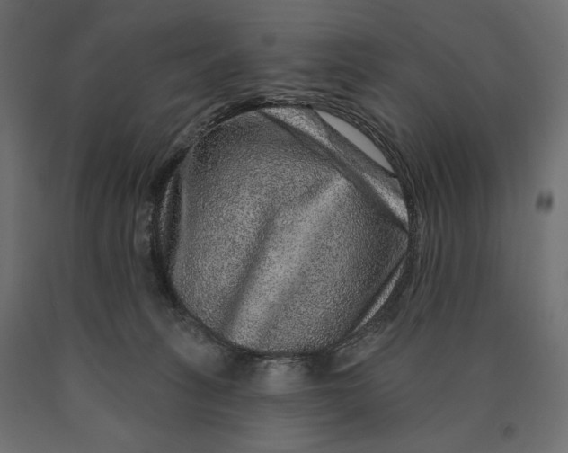 X0000090440275200708031201