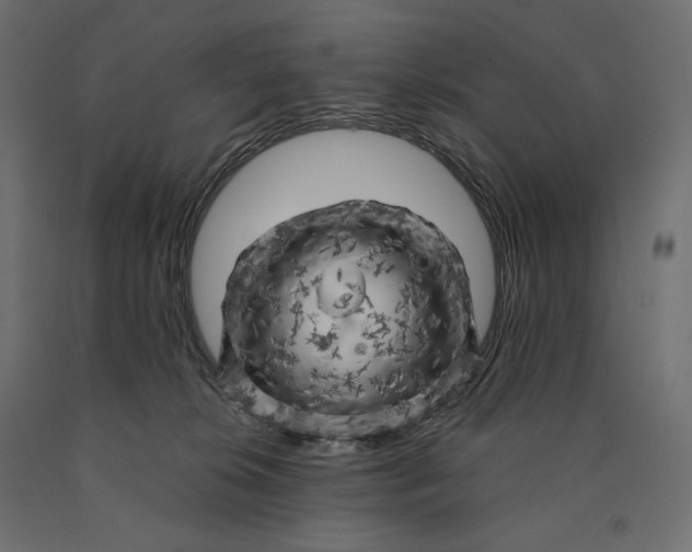 X0000090440276200708031201