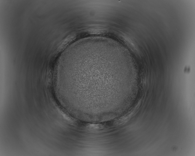 X0000090440277200708031201