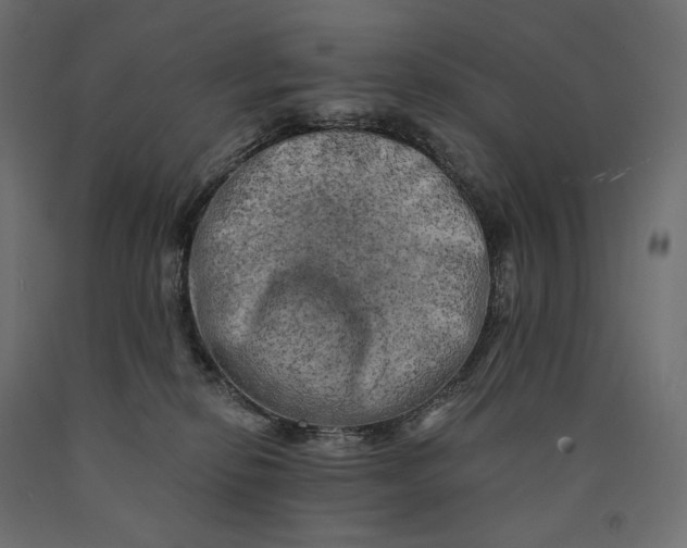 X0000090440278200708031201