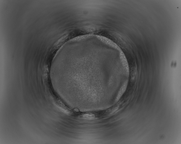 X0000090440279200708031201