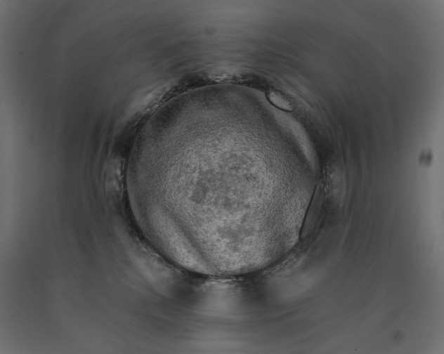 X0000090440280200708031201