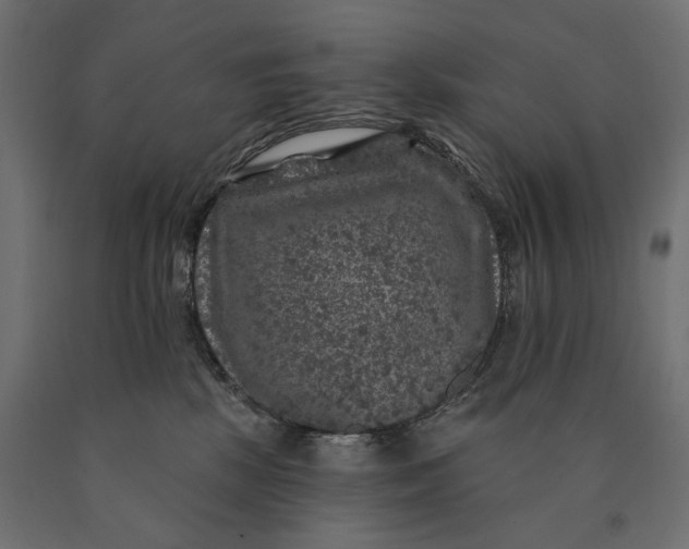 X0000090440281200708031201