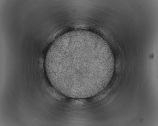 X0000090440282200708031201