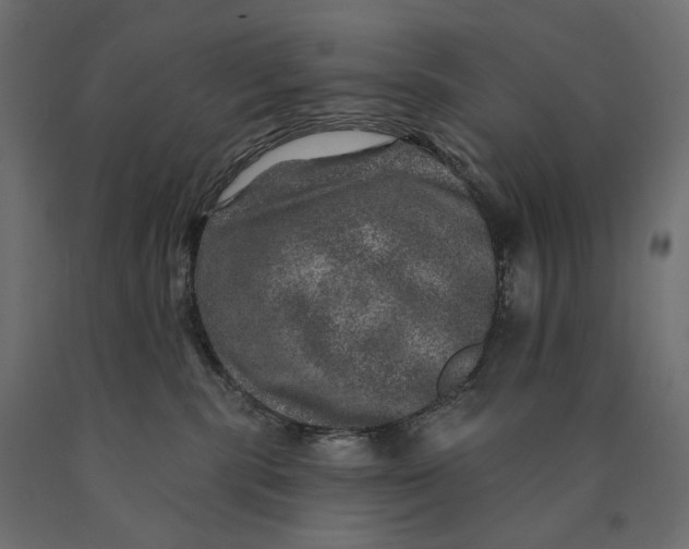 X0000090440283200708031201