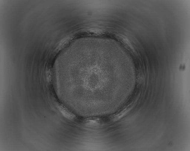 X0000090440285200708031201