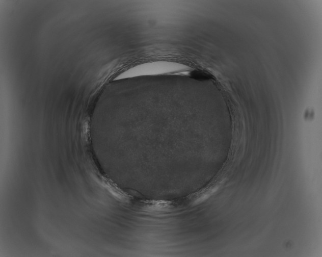 X0000090440288200708031201