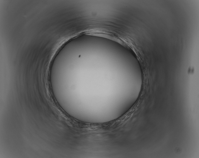 X0000090440289200708031200