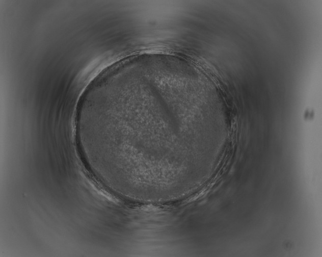 X0000090440290200708031200