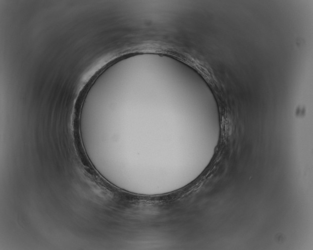 X0000090440292200708031200