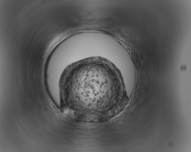 X0000090440293200708031200