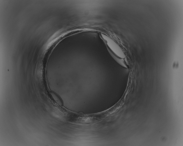 X0000090440295200708031200