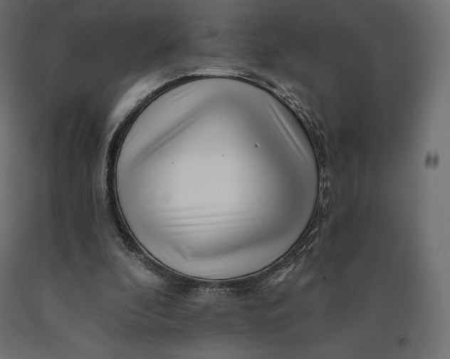 X0000090440296200708031200