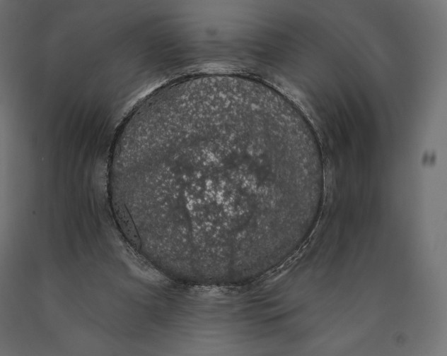 X0000090440297200708031200