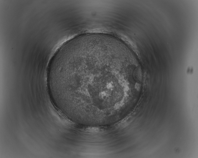 X0000090440298200708031200