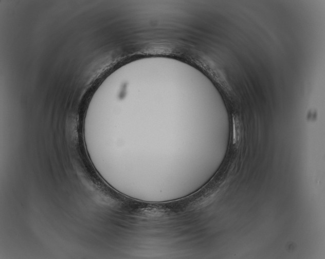 X0000090440300200708031200