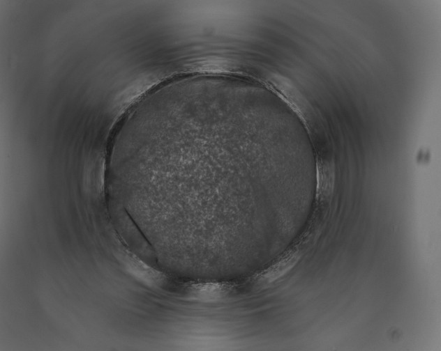 X0000090440301200708031200