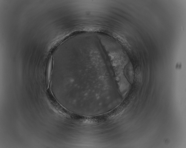 X0000090440303200708031200