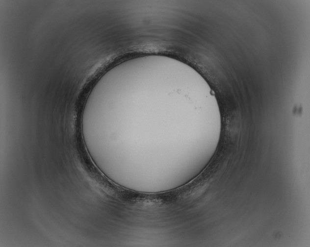 X0000090440304200708031200